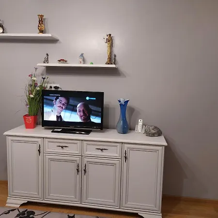 Apartament Andrei Doga Apartment *
